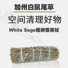 【御青堂】美國加州白鼠尾草White Sage捆綁香薰杖淨化