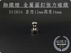 【磁鐵王】釹鐵硼 強磁 金屬圖釘磁鐵 吸鐵 強力磁鐵 D12H16 直徑12mm 高16mm圖釘磁鐵