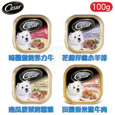 Cesar 西莎餐盒 精緻 / 風味餐盒全系列100g 狗餐盒 狗罐頭 (12種口味)