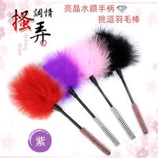 調情搔弄 亮晶水鑽手柄挑逗羽毛棒閨房情趣必備  情趣用品