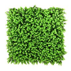 小尤加利葉(仿真植物牆/花草/室內綠化/人工綠籬/氣氛營造/拍照牆/環境裝飾)