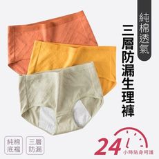 純棉透氣三層防漏生理褲  6色可選