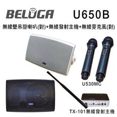 BELUGA 白鯨牌 U650B 無線壁掛喇叭2.1重砲組(含標配組+無線超低音U650SW)