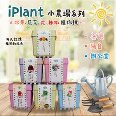 【橘子田】iPlant積木小農場盆栽系列(每盆加贈同款種子一包)