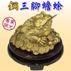 【168開運坊】三腳蟾蜍系列【招財七星-三腳銅金蟾蜍+璇轉底座】開光/擇日