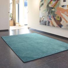 范登伯格 蒂雅 亮澤百搭柔感素面地毯-72孔雀藍-140x200cm (可客製化)