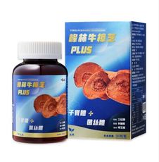 峰林牛樟芝膠囊PLUS，三萜類198%，多醣體51%，樟芝酸K14mg，子實體+菌絲體，60粒裝/盒