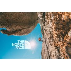 The North Face 女 Logo短T《芽綠》2XUY/吸濕排汗/透氣/運動/戶外/休閒上衣