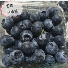【緁迪水果】美國空運藍莓  補充花青素的好幫手 (每盒約125g+-10%)