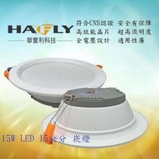 HAFLY 15W LED 鐵殼崁燈 15公分崁孔 驅動器外置 附快速接頭好安裝