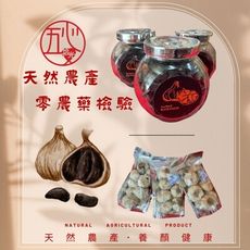 【五心拾光】黑蒜頭 未剝殼