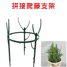 【JLS】可拼接 植物爬藤支架 護葉架 植物支架