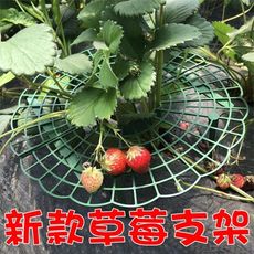 【JLS】新款帶花邊 草莓支架 草莓托盤 草莓架 草莓立體支架