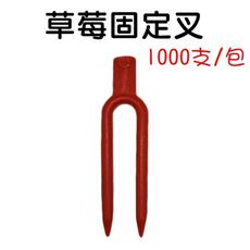 【JLS】1包1000支 草莓固定叉 壓蔓叉 壓蔓器 匍匐莖固定器