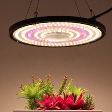 【3C精品閣】全光譜溫室大棚頂裝LED植物補燈  綠植花卉200W生長燈 吊頂燈
