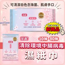 芊柔plus+清除腸病毒白色念珠菌濕紙巾80抽 抗菌 私密處 清潔