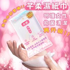 芊柔PLUS 女性專用 清除腸病毒/白色念珠菌 濕紙巾 15抽 私密處清潔 私密處保養