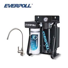 EVERPOLL RO-900直出式極淨純水設備 搭配H-118 SUS304不鏽鋼單冷出水龍頭