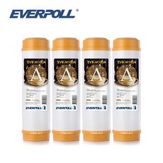 (4支入)EVERPOLL EVB-M100A 道爾樹脂濾芯 10吋標準型(白殼)