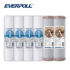 (共6入)EVERPOLL F101 1微米PP濾心4支 C100A 壓縮活性碳棒濾心2支 大大淨水