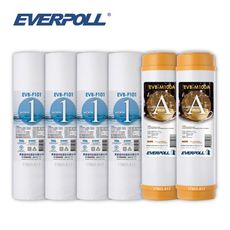 (共6入)EVERPOLL F101 1微米PP濾心4支 M100A道爾樹脂濾心2支 大大淨水