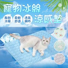 【絲滑涼感 50*40】 寵物冰絲涼感墊 寵物涼墊 寵物涼蓆 冰絲涼墊 寵物冰絲墊 貓睡墊 寵物睡墊