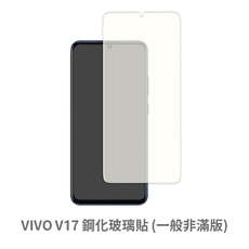 VIVO V17 非滿版 保護貼 玻璃貼 鋼化玻璃膜 螢幕保護貼