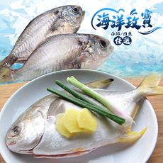 鮮凍優質極嫩小白鯧/肉魚（肉鯽仔）-6入/包-任選