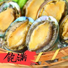 野生半殼九孔鮑魚(10顆/280g/包)