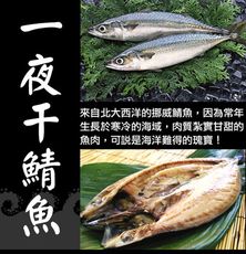 挪威薄鹽鯖魚一夜干(330g~380g/尾)