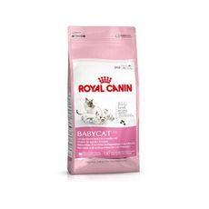 BC34法國皇家離乳貓 2KG