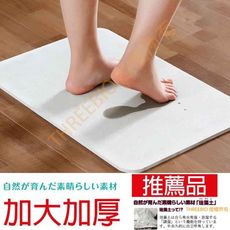吸水珪藻土地墊  高密度三代款 雷射商標正版 (小)