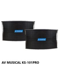 AVMUSICAL KS-101PRO 懸吊式/平放式卡拉OK專用喇叭(一對) 最大功率500W