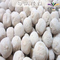 【免運直送】古早味年貨大街˙仙楂丸/仙楂粒(百) 300g/包X2包<包裝款式隨機出貨>台灣