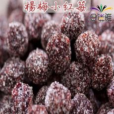 【免運直送】古早味年貨大街˙楊梅小紅莓/糖酥小紅梅 300g/包X2包<包裝款式隨機出貨>