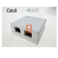 Cat.6 網路線接頭 電腦網路資訊盒 一體成型 接線盒 雙口