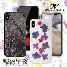 CITYBOSS for iPhone Xs/ iP X 繽紛星夜全包防滑保護殼-銀箔飛燕 碎紅