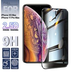 NISDA for iPhone XS Max/11 Pro Max 防窺2.5D滿版玻璃保護貼-黑