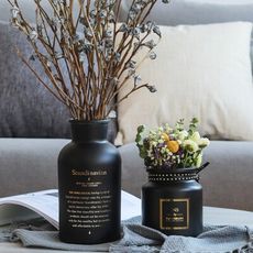 幸福小舖 ins熱賣 北歐風格 黑色燙金英字 簡約質感花瓶 加厚透明玻璃插花器 桌面裝飾