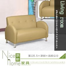 《奈斯家具Nice》108-12-HD 滿天星雙人沙發