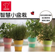 【MULTEE摩堤】智慧小盆栽/2入組