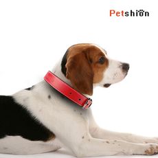 【Petshion】熱情汪汪紅 時尚寵物項圈 狗項圈 皮革項圈 小狗項圈 C5