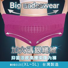 【太空技術】5L大尺碼銀纖維女涼感加大三角褲◆彈力機能◆抑菌除臭★台灣製造《AREX SPORT》