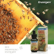 【Enzergen】蜂膠萃取液（25毫升）效期2025/9/6 紐西蘭原裝進口