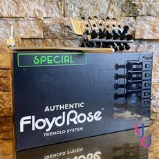 Floyd Rose FRTS1000S Special Tremolo 消光銀 上枕 可選 大搖座