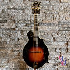 The Loar LM-700 F-Style Madolin 金配件 頂級全單板 曼陀鈴