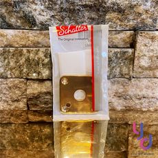 Schaller Jack plate 金色 吉他 插孔 鐵片 更換 維修 ESP Les Paul