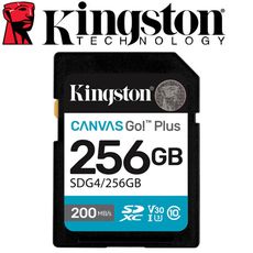 Kingston 金士頓 256G SDXC (U3)(V30) 記憶卡 (SDG4/256GB)