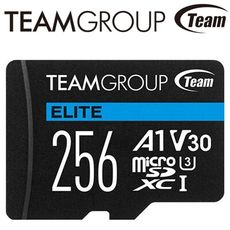 【公司貨】Team 十銓 256G microSDXC TF UHS-I U3 A1 V30 記憶卡