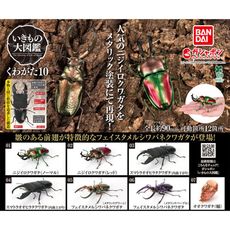 全套7款 生物大圖鑑 鍬形蟲篇 10 扭蛋 轉蛋 昆蟲模型 昆蟲之王 動物模型【847721】
